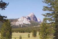 Tuolumne Meadows